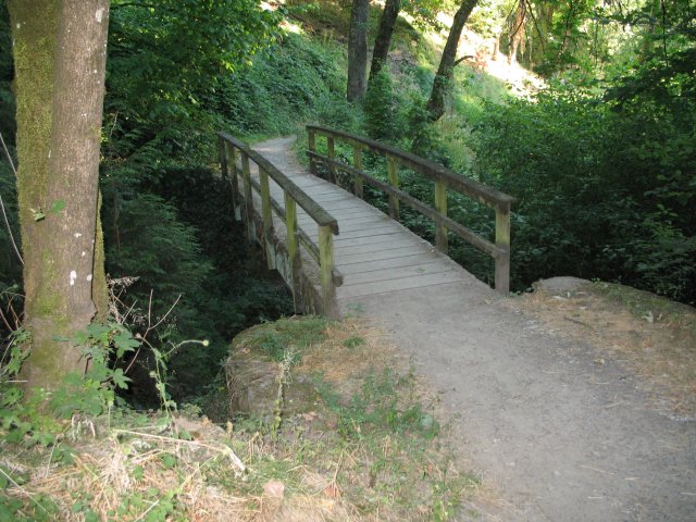 7.27.06 Oaks Bottom 006 